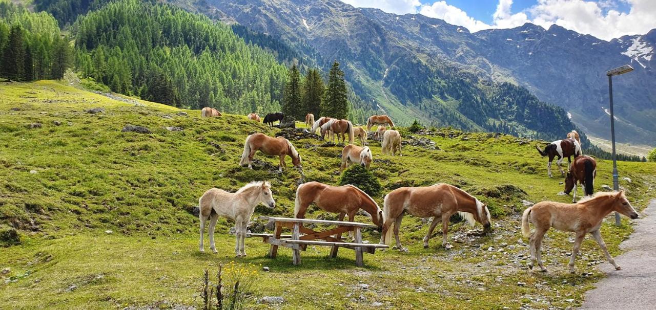Gaestehaus Landhaus Tyrol Gries im Sellrain Εξωτερικό φωτογραφία