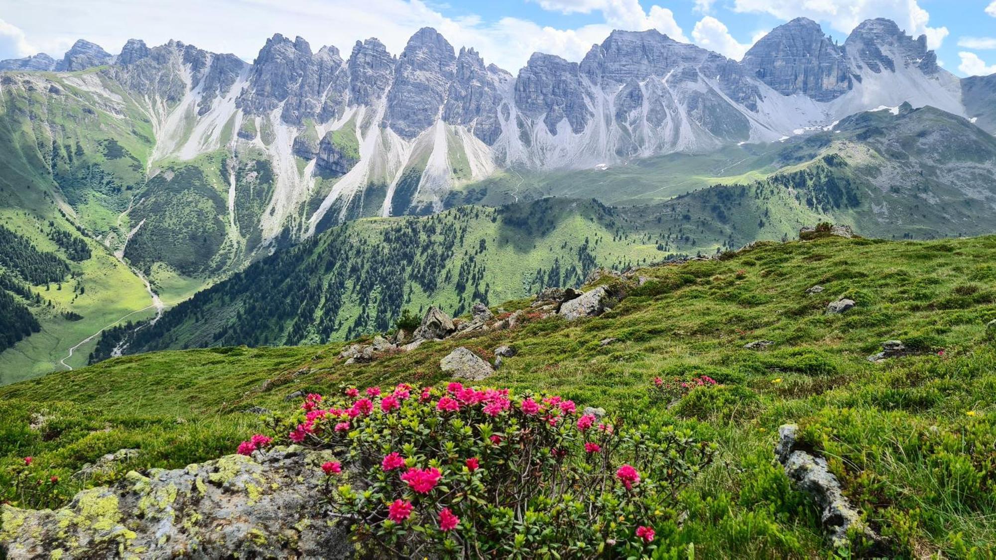 Gaestehaus Landhaus Tyrol Gries im Sellrain Εξωτερικό φωτογραφία