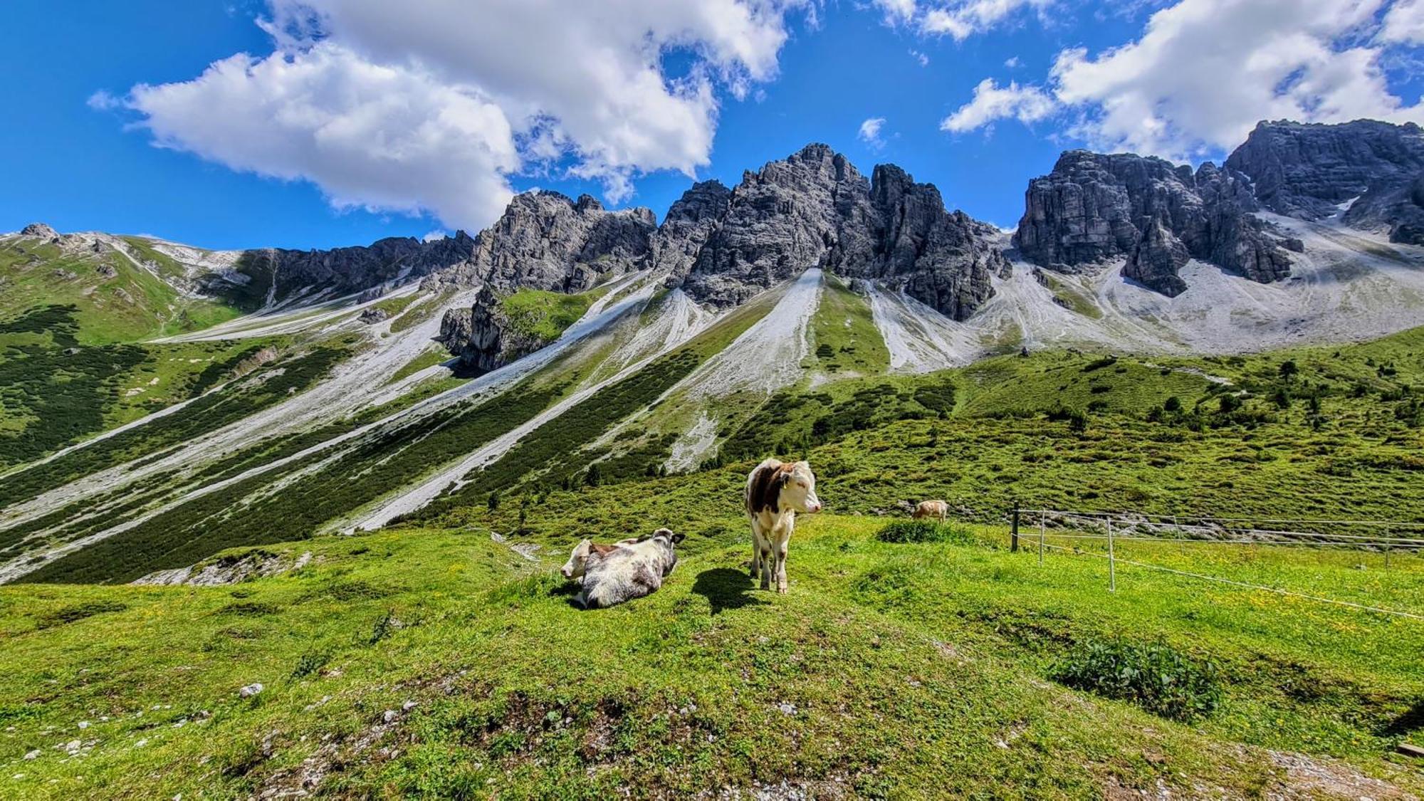 Gaestehaus Landhaus Tyrol Gries im Sellrain Εξωτερικό φωτογραφία